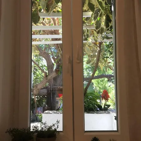 Gerania Milos Αδάμας